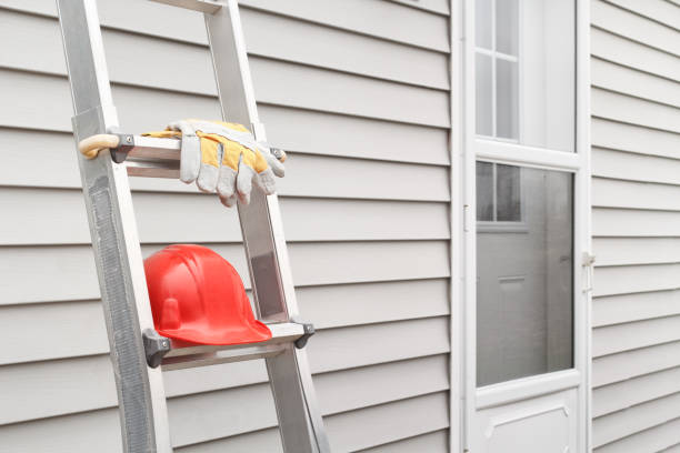 Best Shed Removal  in North Vernon, IN